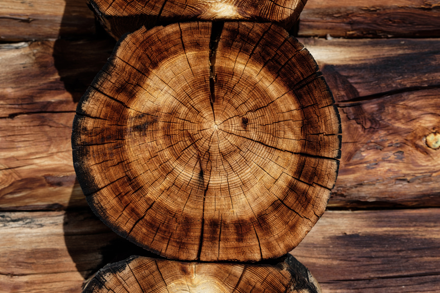 10 Vorurteile gegen Holz – und was der Fachmann dazu sagt